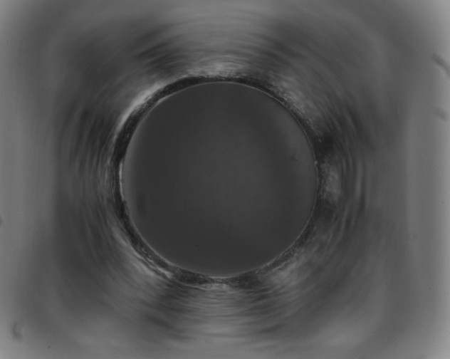 X0000097660392200803071537