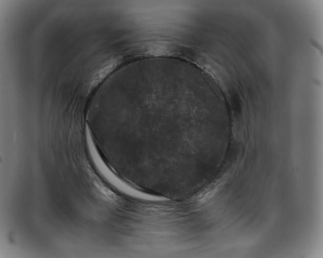 X0000097660393200803071537