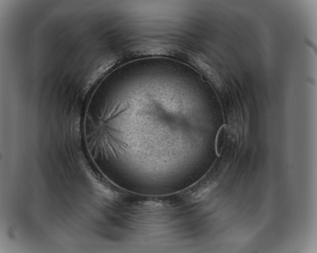 X0000097660394200803071537