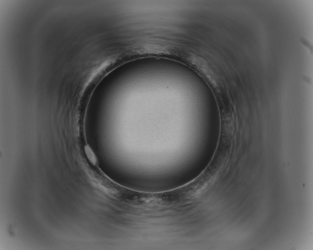 X0000097660395200803071537