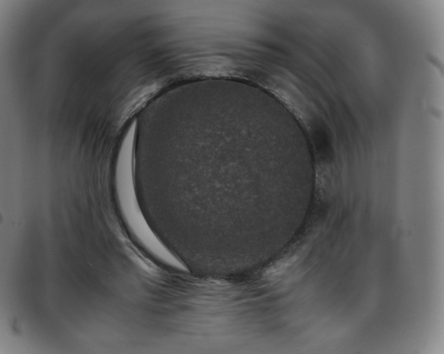 X0000097660397200803071537