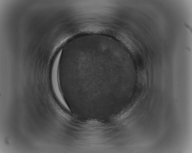 X0000097660399200803071537