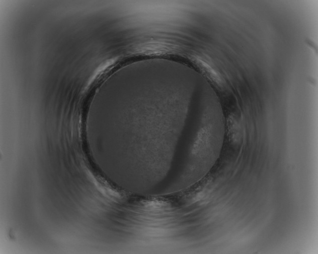 X0000097660400200803071537