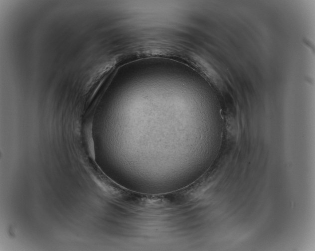 X0000097660401200803071537