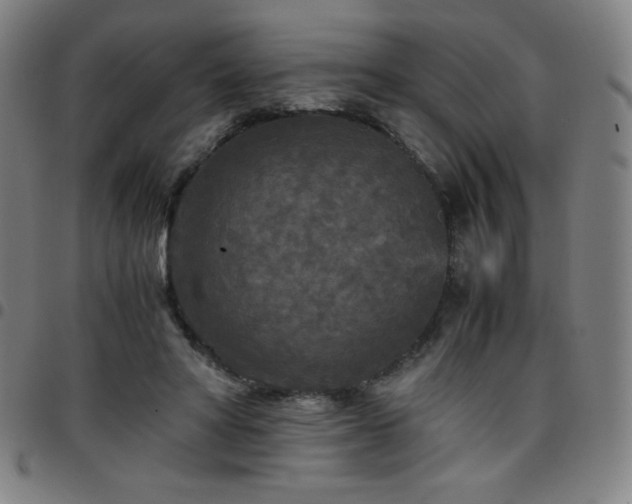 X0000097660402200803071537