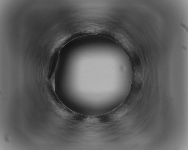 X0000097660403200803071537