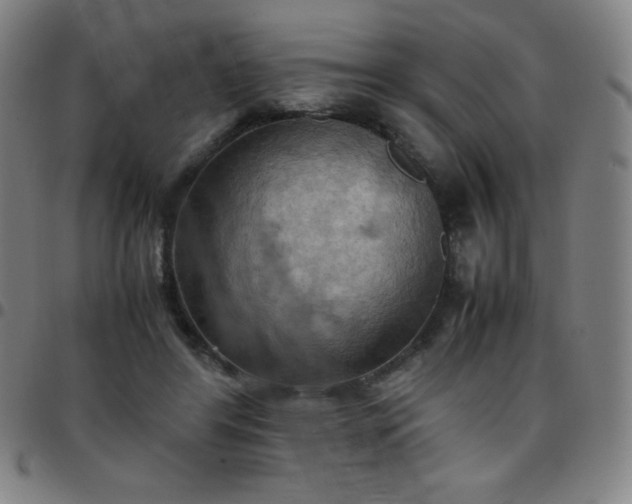 X0000097660404200803071537
