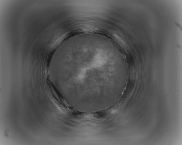 X0000097660405200803071537