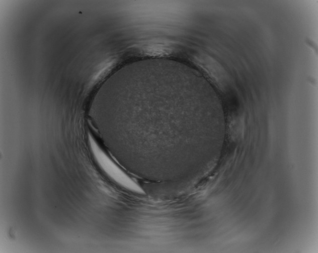 X0000097660407200803071537