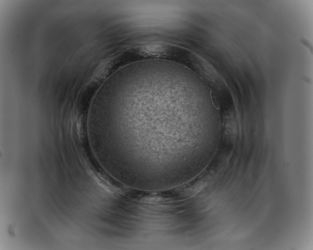 X0000097660408200803071537