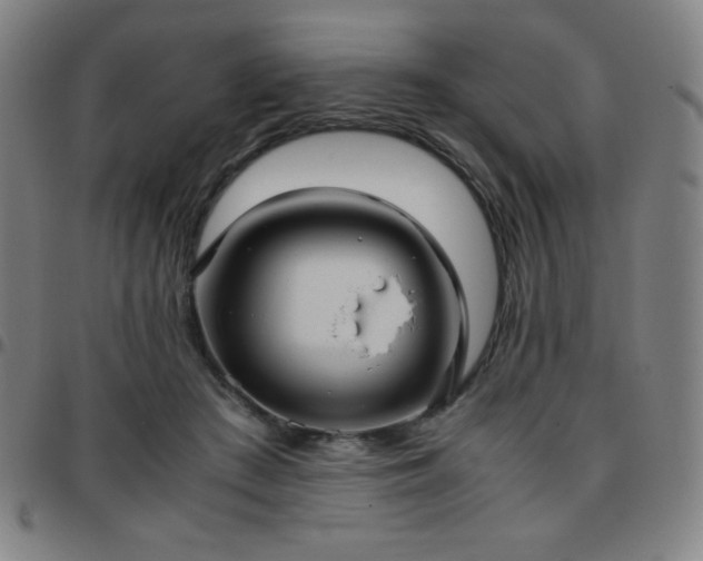 X0000097660409200803071537