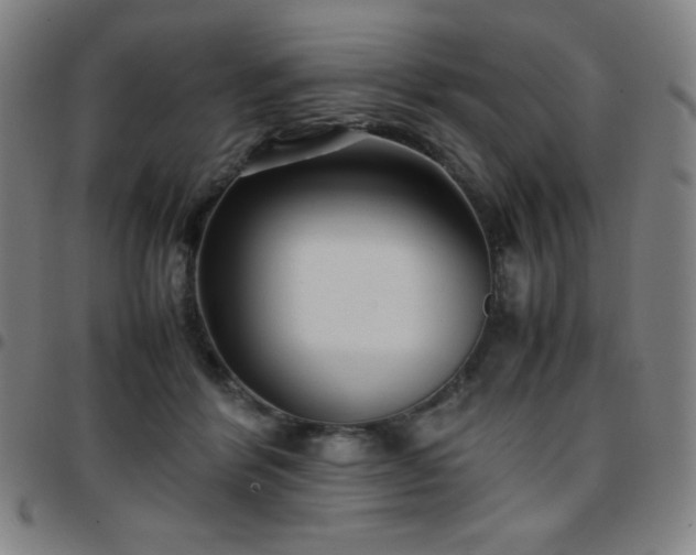 X0000097660412200803071537