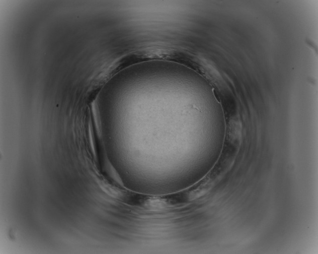 X0000097660413200803071537