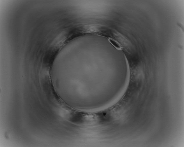 X0000097660415200803071537