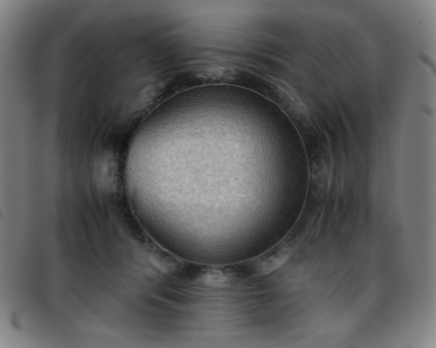 X0000097660416200803071537