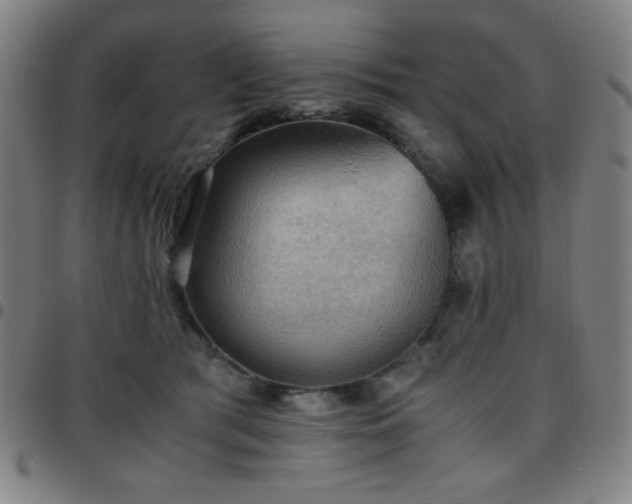 X0000097660417200803071537