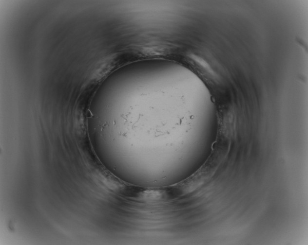 X0000097660418200803071537