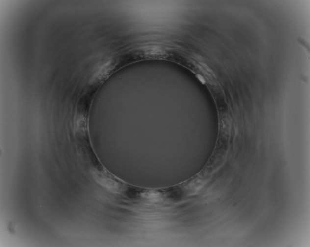 X0000097660419200803071537