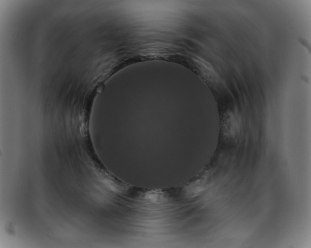 X0000097660420200803071537