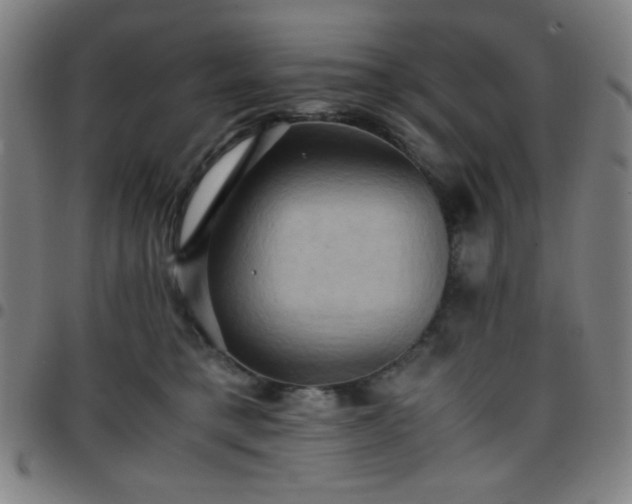 X0000097660421200803071537