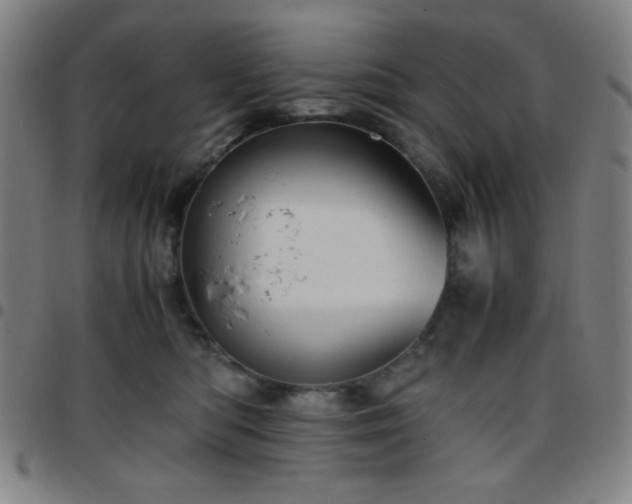 X0000097660422200803071537