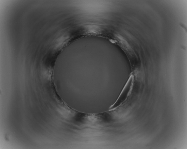 X0000097660423200803071537