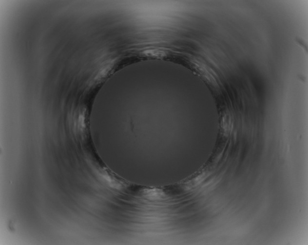 X0000097660424200803071537