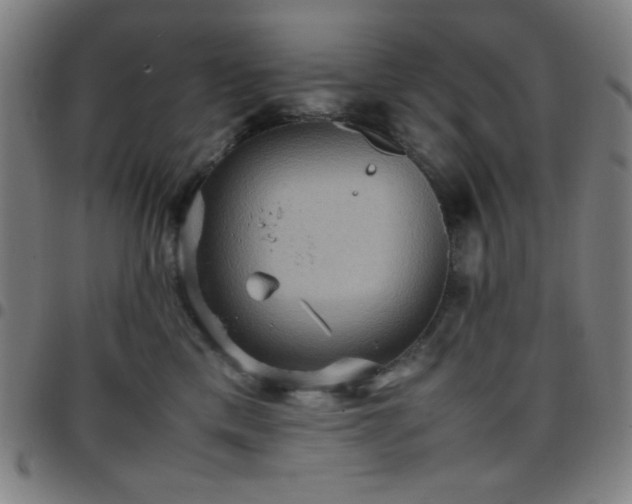 X0000097660425200803071537