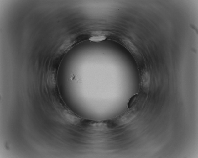 X0000097660426200803071537