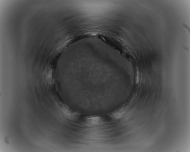 X0000097660428200803071537