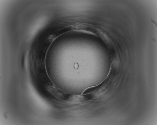 X0000097660429200803071537