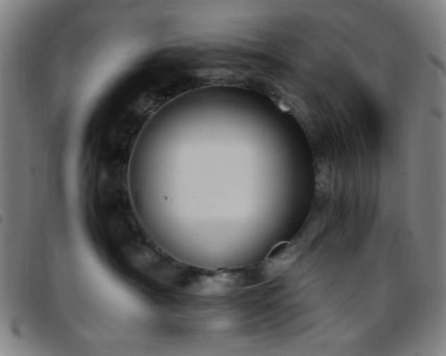 X0000097660430200803071537