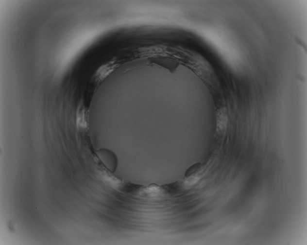 X0000097660431200803071537
