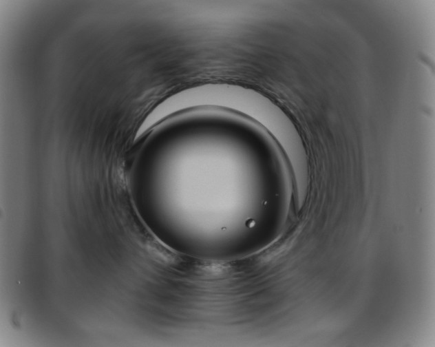 X0000097660432200803071537
