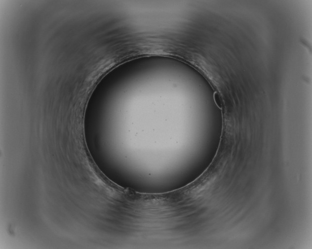 X0000097660433200803071536