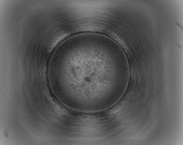 X0000097660434200803071536