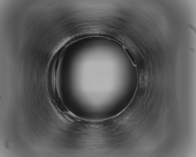 X0000097660436200803071536