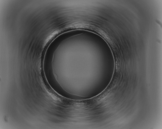 X0000097660438200803071536