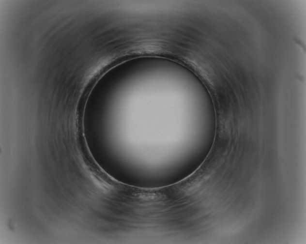 X0000097660439200803071536