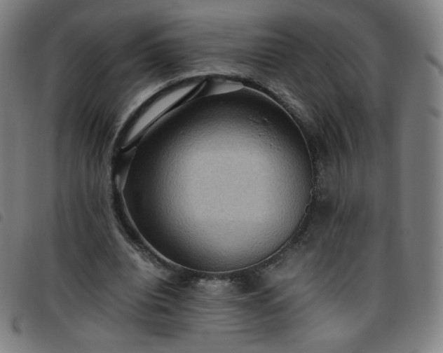 X0000097660440200803071536