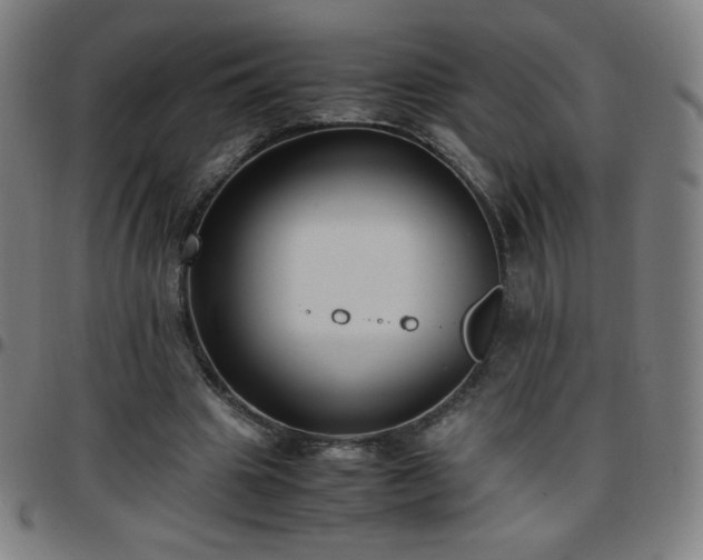 X0000097660441200803071536