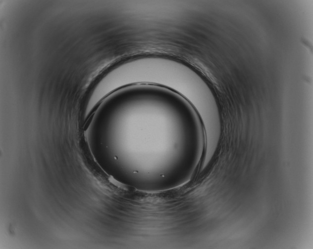 X0000097660444200803071536