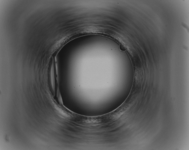 X0000097660445200803071536