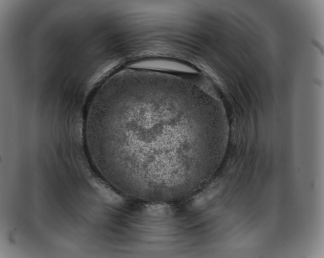 X0000097660446200803071536