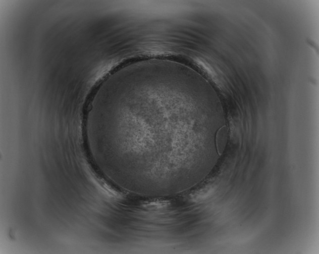 X0000097660447200803071536