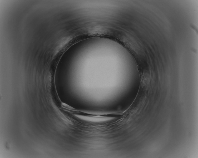 X0000097660448200803071536