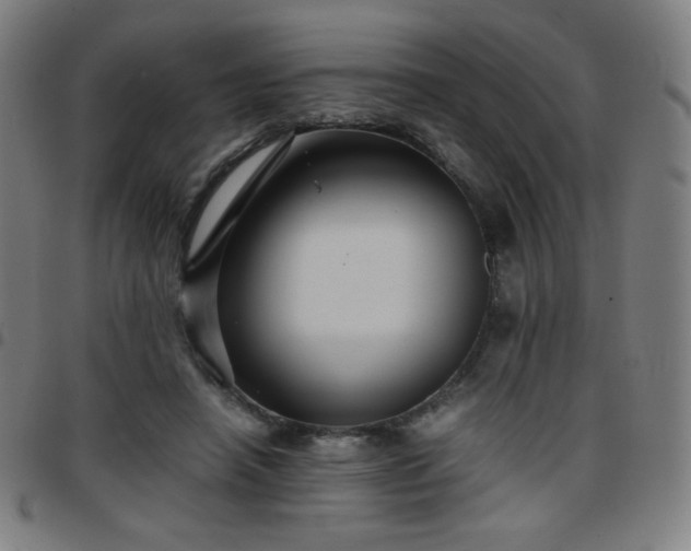 X0000097660450200803071536