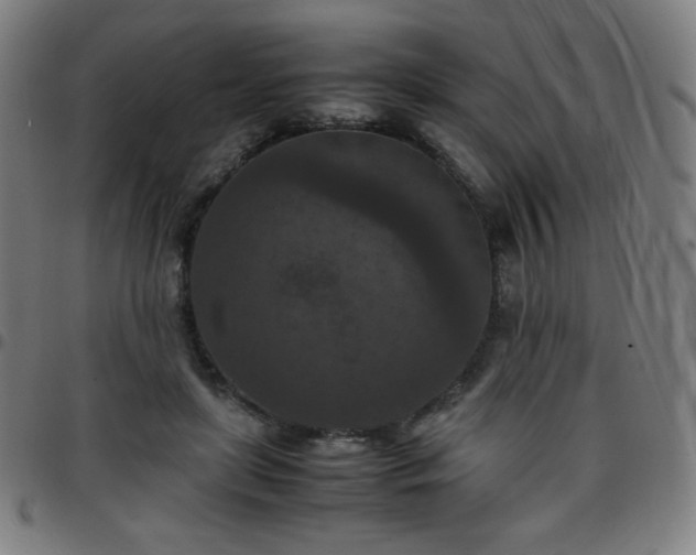 X0000097660451200803071536
