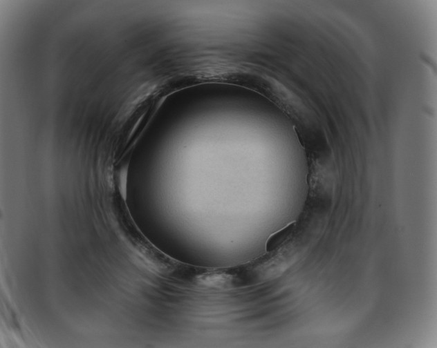 X0000097660452200803071536