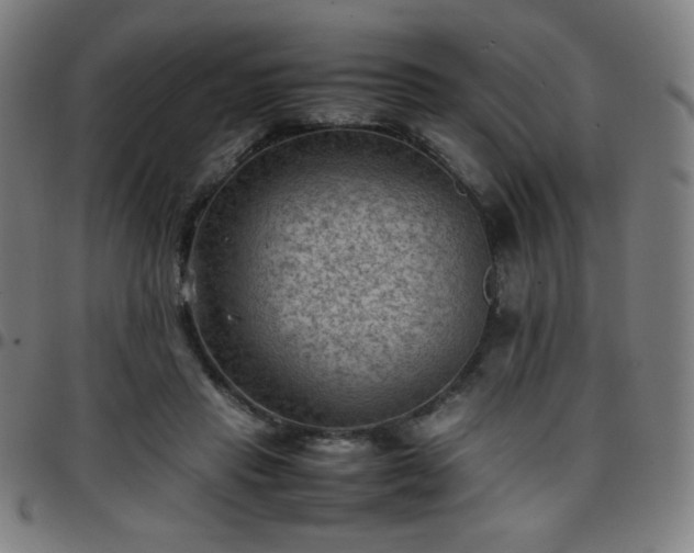 X0000097660453200803071536